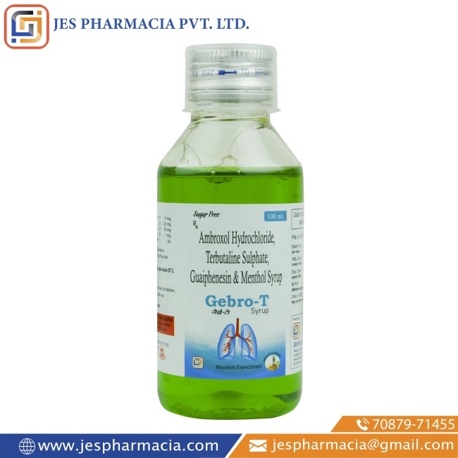 Gebro-T-Syrup-100ml-Ambroxol-hydrochloride-Terbutaline-Sulphate-Guaiphenesin-Menthol-Syrup-Jes-Pharmacia